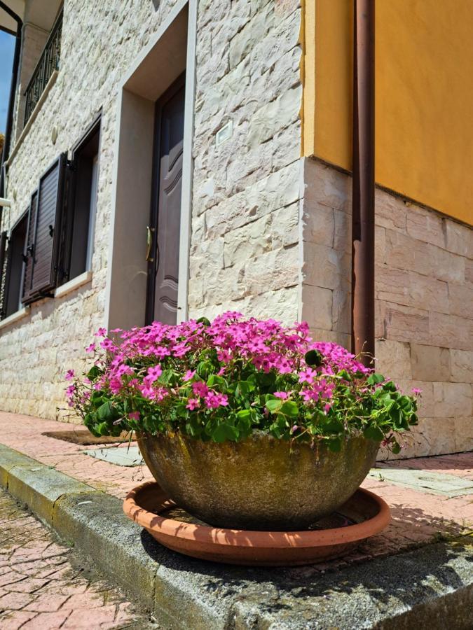 La Casa Di Mezzo-Affitti Brevi-Zona Ospedali Villa Busso Luaran gambar
