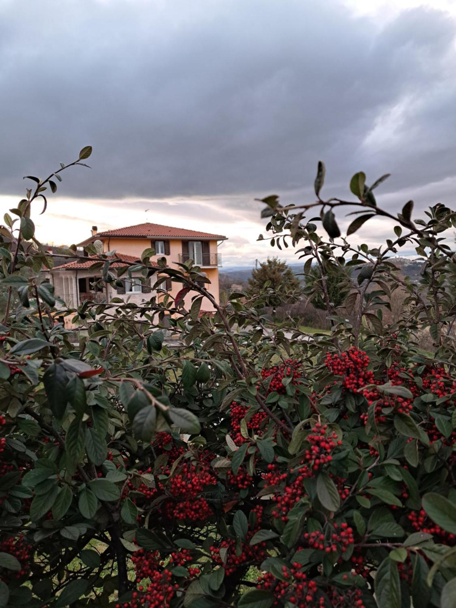 La Casa Di Mezzo-Affitti Brevi-Zona Ospedali Villa Busso Luaran gambar