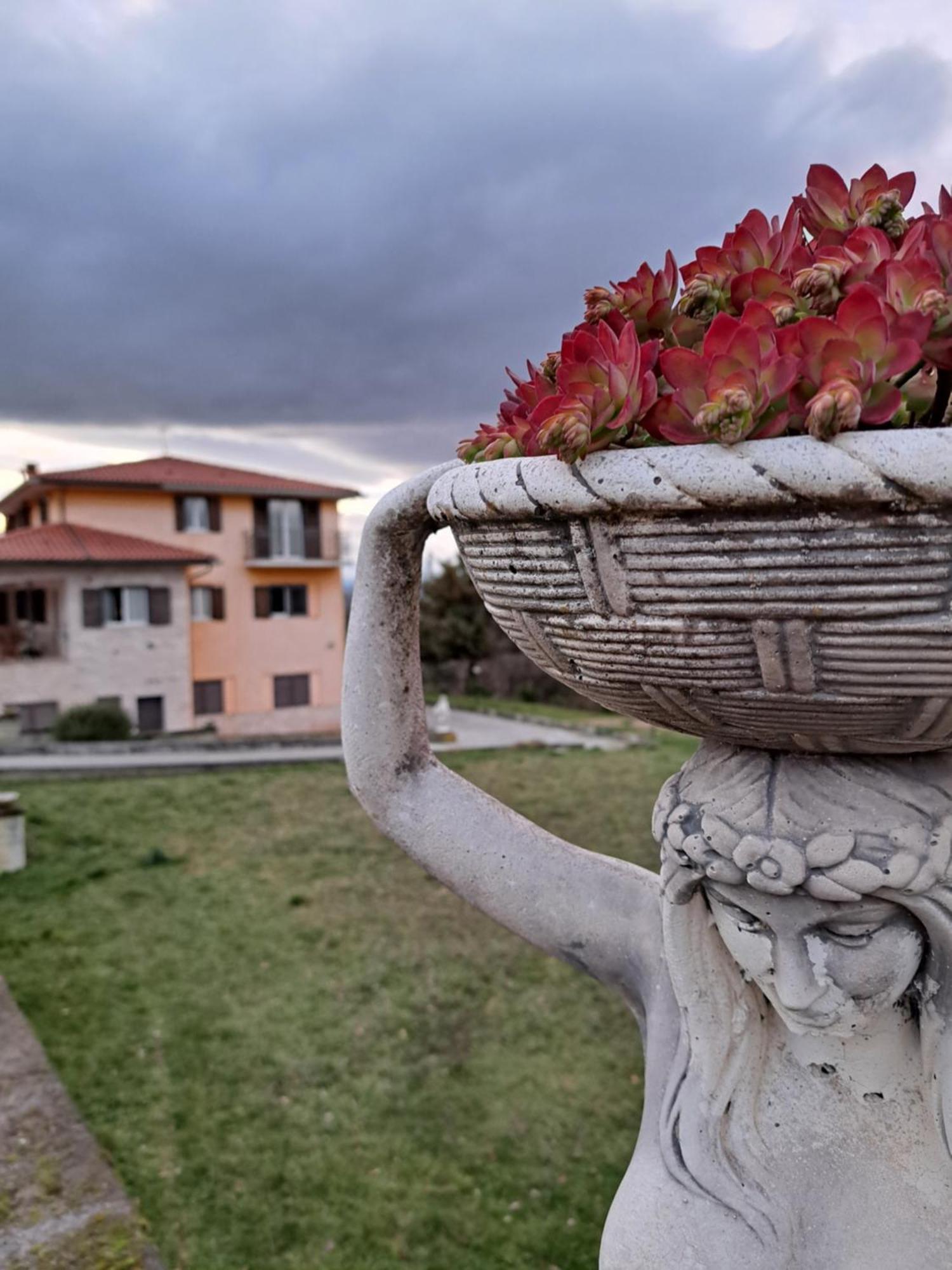 La Casa Di Mezzo-Affitti Brevi-Zona Ospedali Villa Busso Luaran gambar